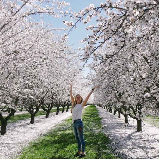 Almonds